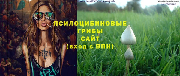 ГАЛЛЮЦИНОГЕННЫЕ ГРИБЫ Ростов