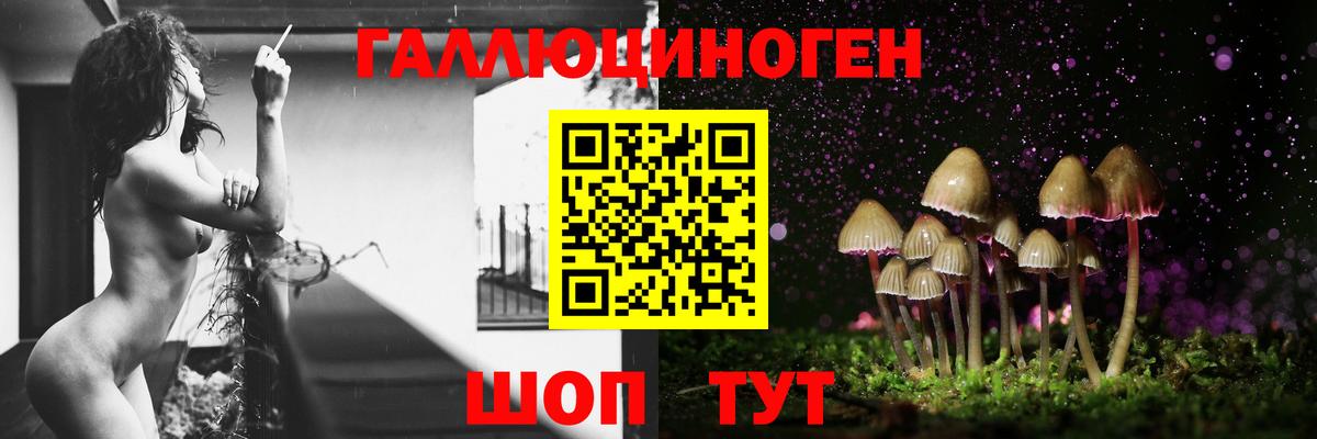 Псилоцибиновые грибы Cubensis  Вход с VPN  Сафоново 