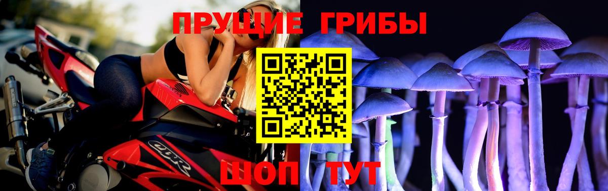 Псилоцибиновые грибы мицелий Сафоново
